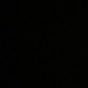 Meet your Posher, Bennett